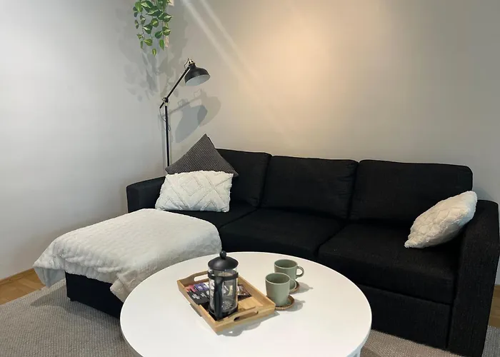 公寓 Centre - Kamoss 罗瓦涅米